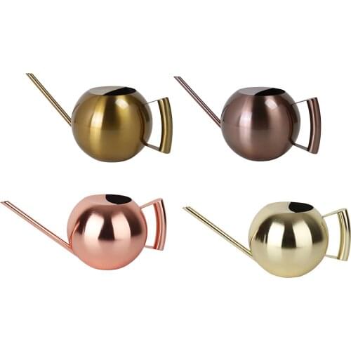 Watering Can Indoor Outdoor Stainless Steel House Plants Long Spout Water Can for Succulent Bonsai Garden Flower(35oz/1000ml)