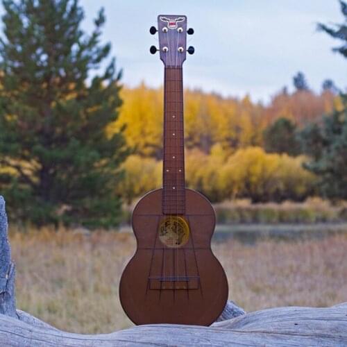 Ukulele 21-Inch Body Material PC Plastic Multicolor Optional Beginner Unisex