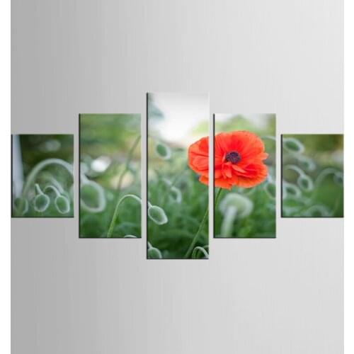 5 panel box red flower canvas painting mural art home decoration living room canvas printing modern painting XL-FJ297 -1