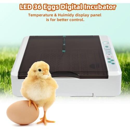 Digital Egg Incubator 36 Egg Practical Fully Automatic Poultry Incubator with LED Light US Plug Farm Hatchery Machine