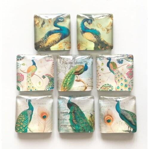 Free shipping (8pcs/lot) 3cm Square Cute Peacock Fridge Magnet Novelty Animal message sticker Lovely Party Decoration/Gifts