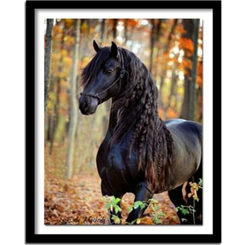 Diamond Embroidery black horse 5D Diy Diamond Painting cross stitch Animals Full round Diamond picture Home Decoration