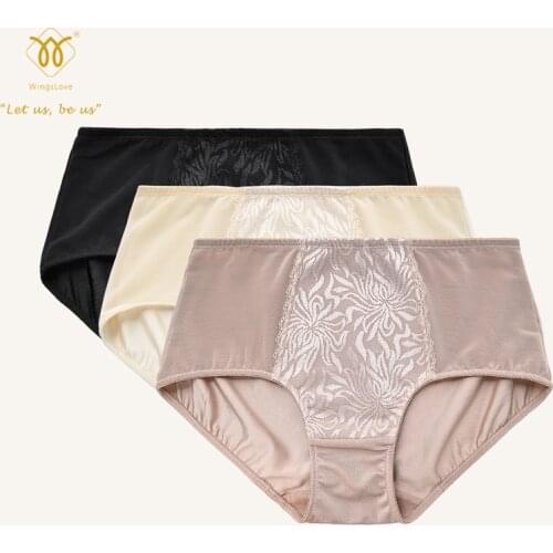 Wngslove 3 Pack Womens Underwear Cotton Panties Comfort Ladies Briefs