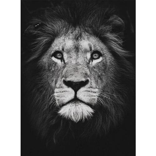 5d diamond embroidery animal lion diy diamond painting cross stitch full square black white diamond mosaic canvas wall art TY767
