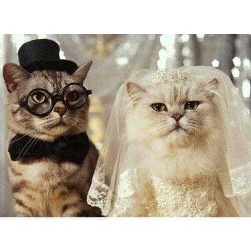 SenyuArt Cats DIY 5D Diamond Painting Cross Stitch Full Round Drill Rhinestone Animals Mosaic Embroidery Pictures for Home Decor