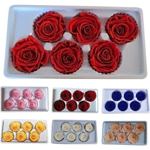 6pcs/Box Preserved Rose Flowers Immortal Rose 5-6CM Diameter Mothers Day DIY Wedding Eternal Life Flower Material Gift Level B