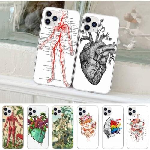 Medical Human Organs Art Phone Case For Huawei P20 P40 Lite P30 Pro P Smart 2019 Honor 10 10i 20 Lite Transparent Cover
