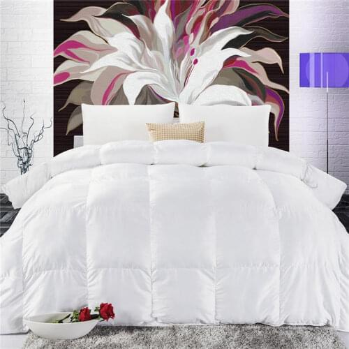 Siberian White Goose Down Winter/Autumn Comforter Quilt Duvet Blanket Filling Fit for Twin Double Queen King Size Bed