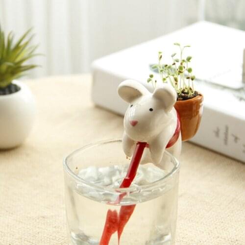 Ecoey new thirst thirsty suck water in small planting Meng Chong creative mini green plants a generation of fat