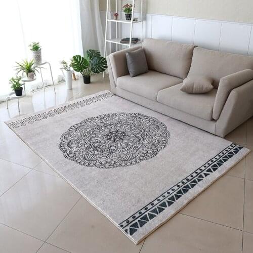 Soft Shaggy Carpets for Living Room Kids Room Carpet Bedroom Sofa Coffee Table Floor Mat Fluffy Large Morocco Rugs Nordic Carpet