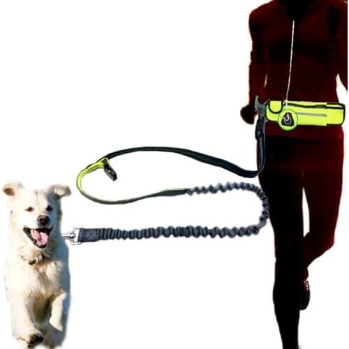 Hand Free Nylon Waist Dog Leash With Pouch Bag Adjustable Elastic Pet Sports Lead Belt Running Jogging Leashes For Small Dogs
