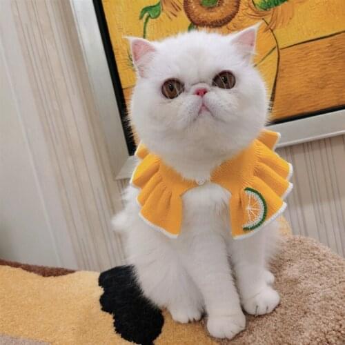 Pet handmade cat and dog bib knitted knitted saliva towel pet bib bib bib neckline sweet