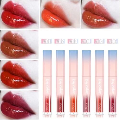 Moisturizing Non-stick Cup Lip Tint gloss Long Lasting Makeup 6 colors Available Lip glaze Lip dye Liquid Lipstick TSLM2