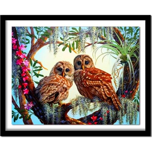 Diamant painting Diamond embroidery animals owl 5d diy diamond painting full square pictures of rhinestones 588DD diamond
