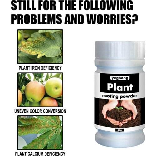 Rooting Powder Transplanting Plant Rapid Growth Root Rapid Growth Root Medicinal Regulators For Garden Bonsai Tool Hot Sale