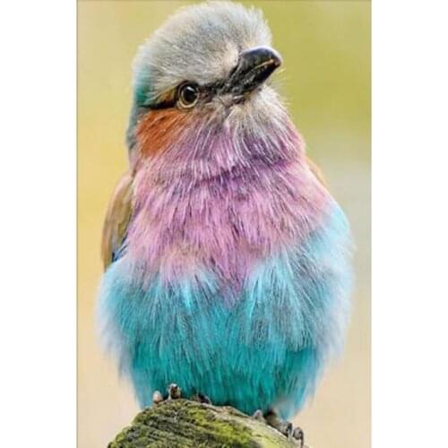 5D DIY Diamond Painting Animal Painting Color Bird Picture Square/Round Diamond Cross Stitch Embroidery Decorative Art WG3149