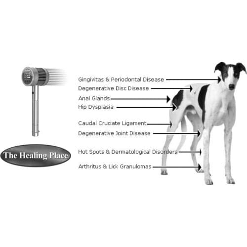 808nm Animal Laser Therapy Device Plus Veterinary Laser Therapy Arthritis Pain Relief Home Health Remedies