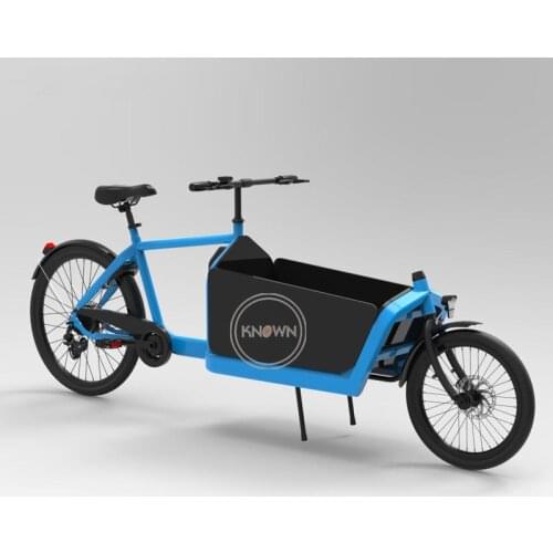 Hot Selling Two Wheel Electric Cargo Bike Mobile Safe Child Transport Vehicle Heavy Loading Manned Bicycle