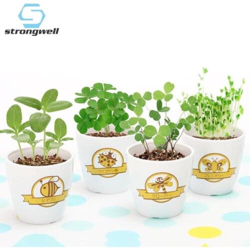 Strongwell Succulent Flower Pot Home Balcony Garden Decoration Ceramic Plant Potted Simplicity Insect Pattern Planter Crafts