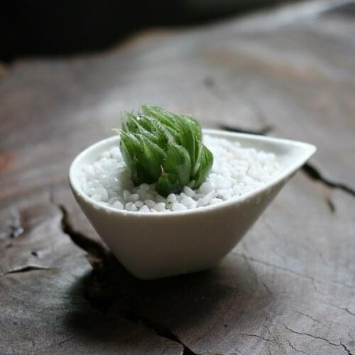 9.8*5.8*3.8cm Simple white ceramic creative succulents potted flower pot Desktop Mini Pear freeshipping