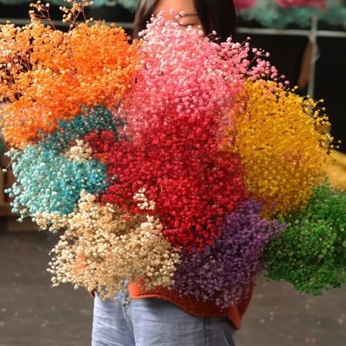 Natural Fresh Dried Preserved Flowers Gypsophila Paniculata,Babys Breath Flower Bouquets Gift For Wedding Decoration,Home Decor