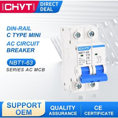 NBT1-63 400V 2P 6A 10A 16A 20A 25A 32A 40A 50A 63A 6KA C Type Transparent Air Switch Household AC Mini Circuit Breaker MCB