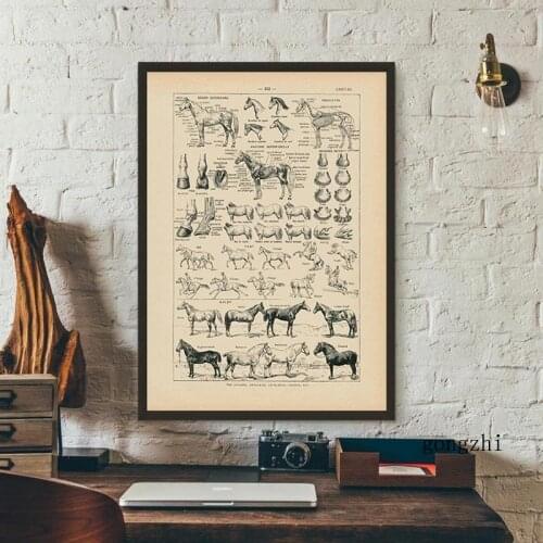 French Horse Anatomy Chart Prints Biology Wall Art Canvas Painting Vintage Animal Illustration Poster Pictures Office Home Decor