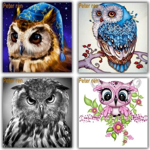 Peter ren Diamond Painting Cross stitch Embroidery full iocn Paintings Square or Round Mosaic pictur Home Decor Crafts owl image