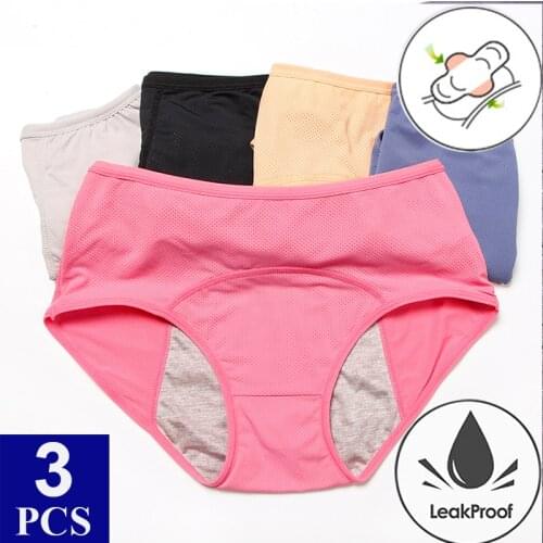 3PCS/Lot Menstrual Panties Plus Size Period Panties Underwear Physiological Pants Leak Proof Underwear Women Mesh Panties Briefs