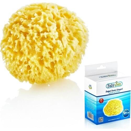 Natural Sea Sponge 163