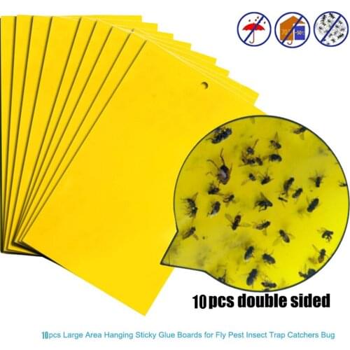 Strong Fly Traps 5/10/20 pcs Bug Sticky Board Dual-Sided Yellow Sticky Strong Flies Bugs Insect Pest Catching Sticky Board