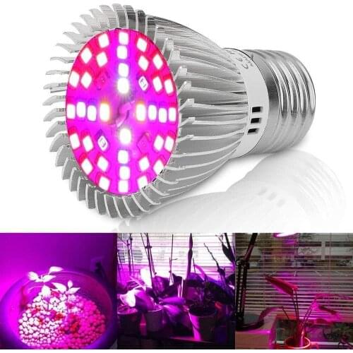 Lan Yu CLF Lighting LED Plant Lamps