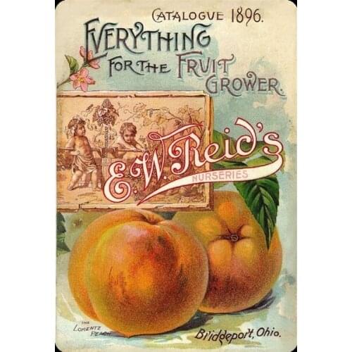 Vintage Farm Catalogue 1896 Everything for the Fruit Grower Metal Tin Sign 8x12 Inch Retro Home