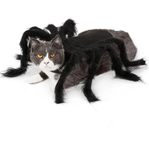 Hot selling Halloween pet spider clothes puppy cat horror simulation plush spider makeover party