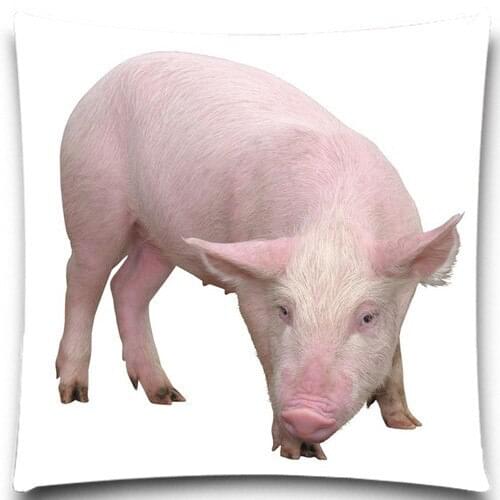 Cute animals Pig/little duck Decorative Square 16 18 20 inch 2D Printed Pillow Case cotton polyester Funny Festival Supply