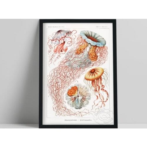 Sea Animal Hand Painted Colored Printing Poster, Vintage Surrealist Jellyfish Art Prints, Marine Biology Home Wall Decor Gift