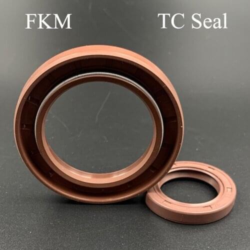 55*100*10/12 55x100x10/12 55*110*12 55x110x12 Fluoro FKM Fluorine Rubber Spring Two Lip TC Gasket Radial Shaft Skeleton Oil Seal