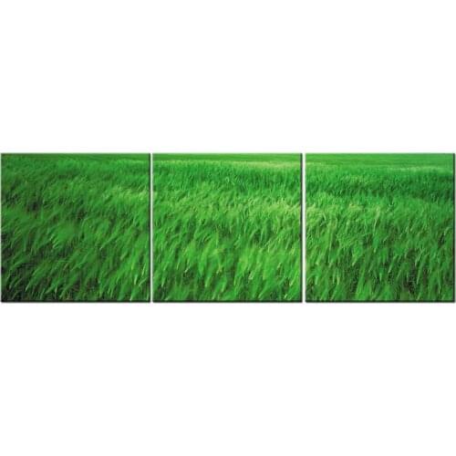 3 Piece Art Print Modular Painting Poster Landscape Canvas Wall Green Grass Picture For Home Decor Kids Room Frame QJFJ3-2
