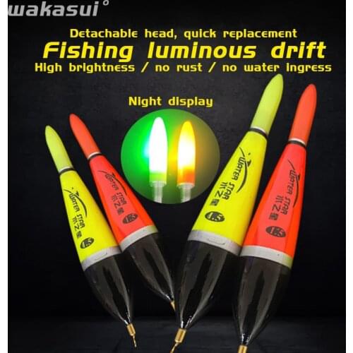 New 2Pcs/Lot Carp Fishing Floats Accessories Float Luminous Electric For Fishing In Summer Sea Striped-Bass Outdoor Tools