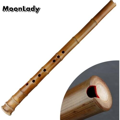 Chinese Bamboo Flute Not Shakuhachi Traditional Woodwind Musical Instrument Vertical Bambu Flauta Nan Xiao G/ F key for Beginner