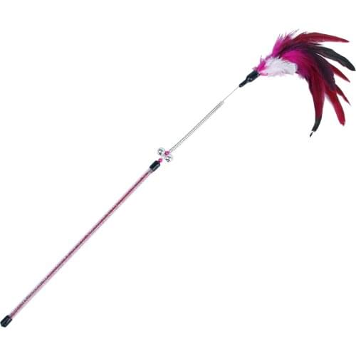 Pet Cat Interactive Toys Funny Feathers Teaser Design Cute Bell Steel Wire Acrylic Tube Feather Products Toy Cat Accessories