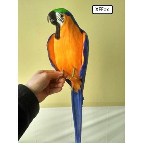 Big real life blue&orange parrot model foam&feather simulation little wings parrot bird gift about 45cm xf0173