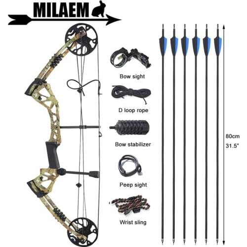 Archery Compound Bow And Arrow Set 15-70lbs Adjustable Adult IBO 320fps Compound Bow Kit Hunting Equipment Accessories