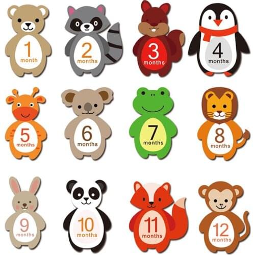 12PCS Baby Props Photo Stickers Monthly Milestone Sticker Baby Photography Newborn Photo Props Accessories