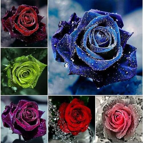 5D DIY Diamond Painting Flower Full Square/Round Diamond Embroidery Cross Stitch Kit Rose Rhinestone MosaicHome Decoration Gift