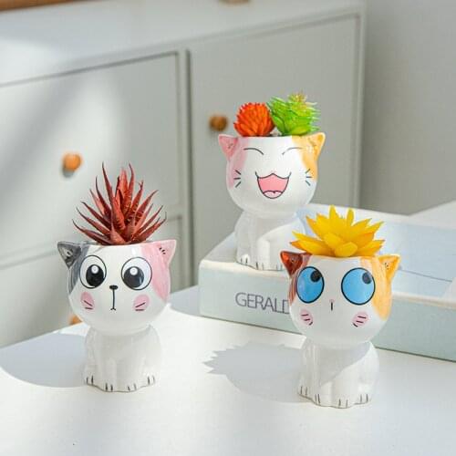 Cartoon Cat Fleshy Flowerpot Lovely Gardening Manual Owl Expression Combination Ceramic Mini Pot Propagation Station