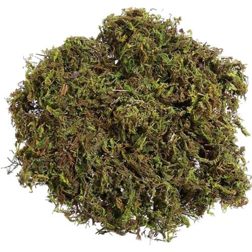 1 Bag Artificial Keep Dry Green Moss Decor for Fairy Gardens Arts Crafts