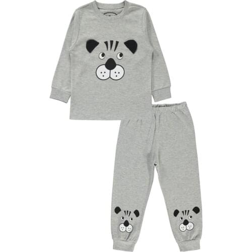 Male Child Sleepwear Set to Age Gray