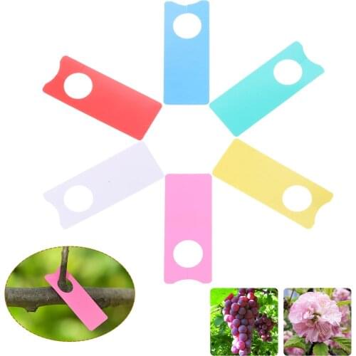 100Pcs Multifunction Plastic Grape Sign board Grape Labels Melon Fruit Tags Plants Grape Sign Card Mark