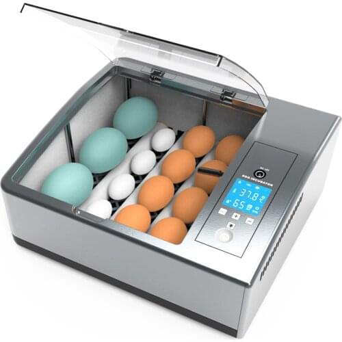 Incubator Egg Incubator Fully Automatic Incubator Household Brooder Farm Chicken Incubator Bird Egg Incubator 16 Eggs